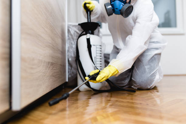 Pest Control Cost in Reminderville, OH