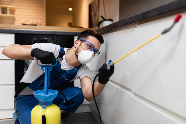 Best Local Pest Control Services  in Reminderville, OH