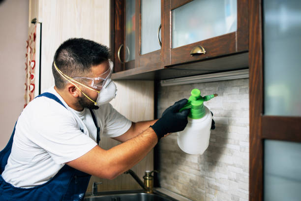 Best Commercial Pest Control Services  in Reminderville, OH