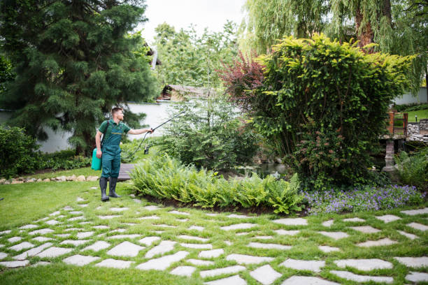 Best Affordable Pest Control Services  in Reminderville, OH