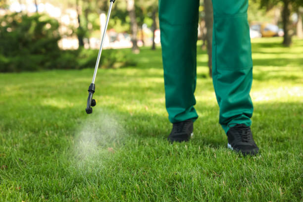 Best Mosquito Control Services  in Reminderville, OH