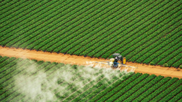 Pest Prevention Services in Reminderville, OH