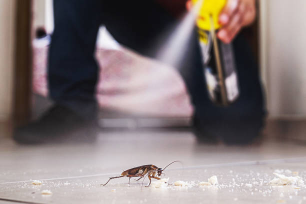 Pest Control Cost in Reminderville, OH