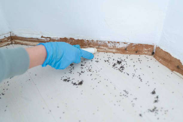 Best Pest Prevention Services  in Reminderville, OH